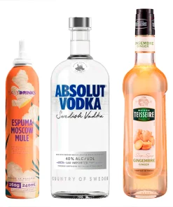 Combo Coquetel Moscow Mule- Espuma de Gengibre Moscow Mule 260g+Xarope Gengibre Teisseire Gingembre 700ml+Vodka Absolut 1l Sabor:Neutro